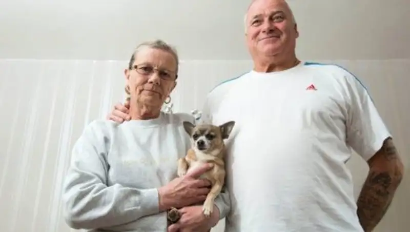 Хозяина чихуа-хуа судят за агрессивное и опасное поведение питомца