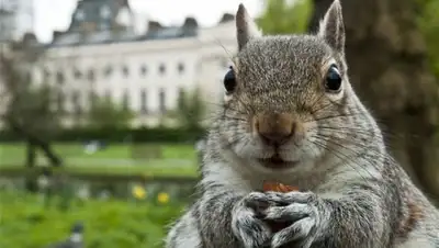 Zakon.kz, фото - Новости Zakon.kz от 17.07.2015 15:40