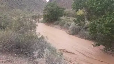 24kz, фото - Новости Zakon.kz от 30.05.2021 11:57