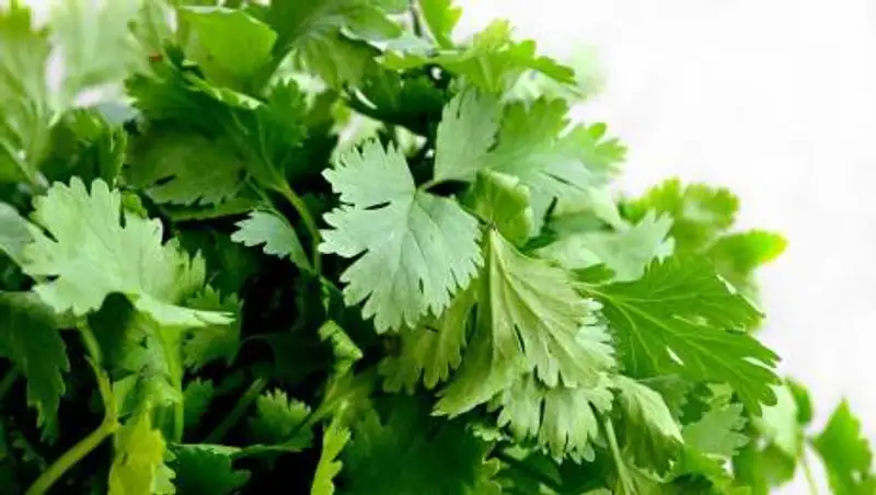 Назван продукт, повышающий риск образования тромбов в 20 раз