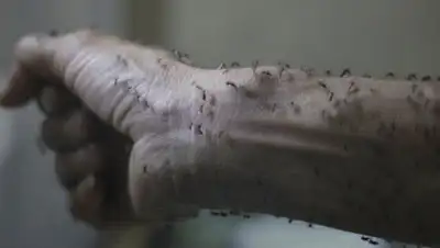 Zakon.kz, фото - Новости Zakon.kz от 02.02.2016 15:15