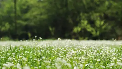 прогноз погоды на 12-14 июля в Казахстане , фото - Новости Zakon.kz от 11.07.2022 11:54