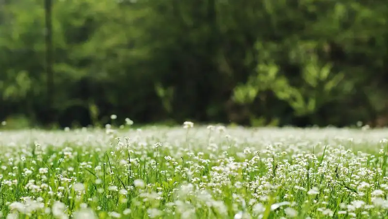 Дожди и жара до 40 градусов – прогноз погоды в Казахстане на 12-14 июля