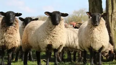 Zakon.kz, фото - Новости Zakon.kz от 27.05.2016 16:47