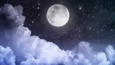 Юрец Удалец, фото - Новости Zakon.kz от 13.02.2018 11:50