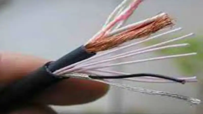 В Жамбылской области 15-летняя девочка погибла от удара током