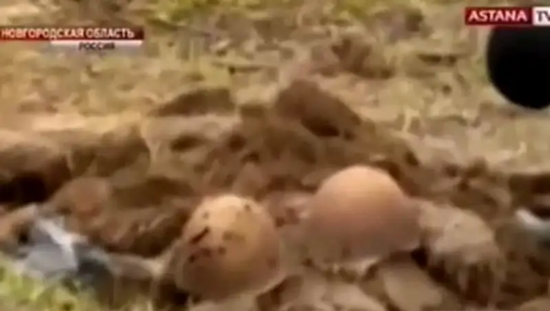 Останки трёх казахстанских бойцов найдены в Новгородской области