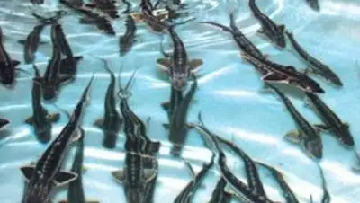 Zakon.kz, фото - Новости Zakon.kz от 06.03.2014 22:11