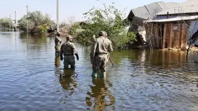 Региональная служба коммуникаций Туркестанской области, фото - Новости Zakon.kz от 23.02.2021 10:08