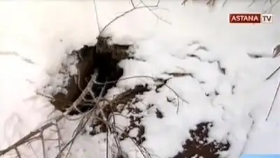 Zakon.kz, фото - Новости Zakon.kz от 11.02.2016 12:40