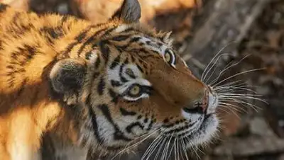 Unsplash, фото - Новости Zakon.kz от 01.08.2021 06:48