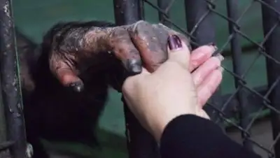 Zakon.kz, фото - Новости Zakon.kz от 16.11.2016 19:50