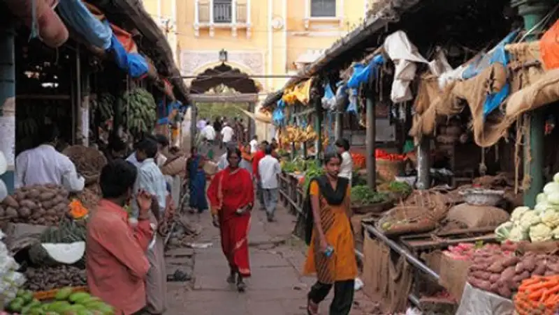 Мужчина покусал и ограбил немецкую туристку в Индии