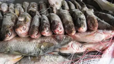 Zakon.kz, фото - Новости Zakon.kz от 02.12.2014 17:16