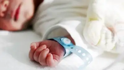 Zakon.kz, фото - Новости Zakon.kz от 13.04.2017 16:50