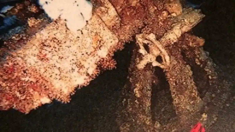 В США обнаружили пропавший 95 лет назад военный корабль