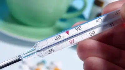 Zakon.kz, фото - Новости Zakon.kz от 05.02.2016 16:45