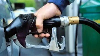 Zakon.kz, фото - Новости Zakon.kz от 17.02.2017 15:26