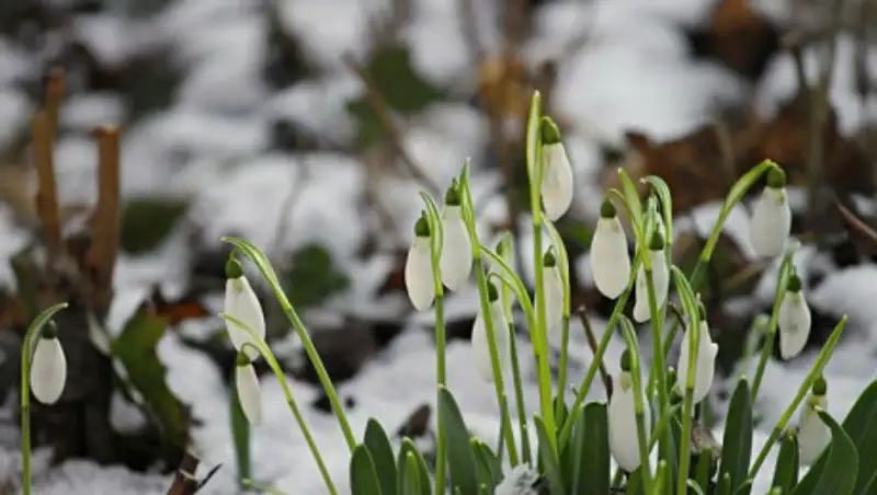 Какая погода ждет казахстанцев в ближайшие дни