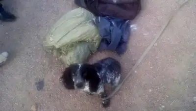 Zakon.kz, фото - Новости Zakon.kz от 21.09.2015 17:01