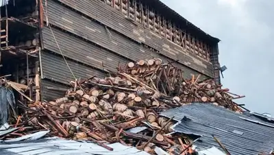 Chief Billy Mattingly / Bardstown Fire Department / AP, фото - Новости Zakon.kz от 23.06.2018 20:43