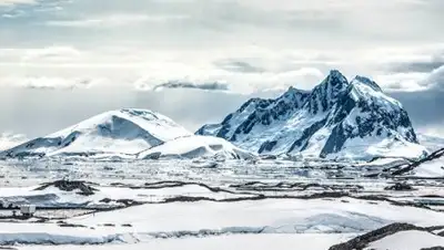 Zakon.kz, фото - Новости Zakon.kz от 12.07.2017 22:56
