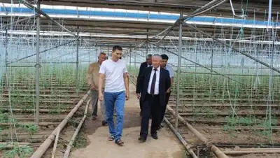 Zakon.kz, фото - Новости Zakon.kz от 17.08.2016 20:52