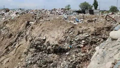 zakon.kz, фото - Новости Zakon.kz от 23.08.2021 16:41