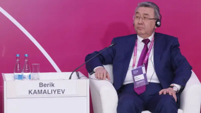 Сотрудничество Казахстана и ОЭСР обсудили в Нур-Султане