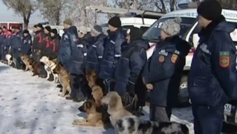 В Караганде состоялись тренировочные сборы кинологических служб