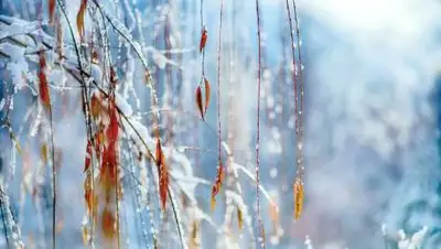 zakon.kz., фото - Новости Zakon.kz от 04.12.2020 06:02