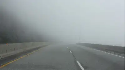туман, дорога , фото - Новости Zakon.kz от 20.01.2022 17:24