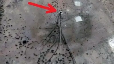 Новости Планеты, фото - Новости Zakon.kz от 24.05.2018 11:53