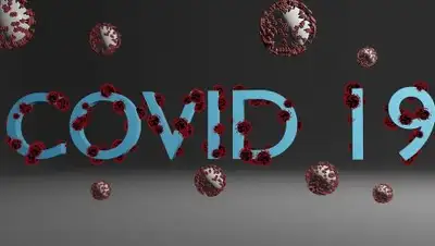 Pixabay, фото - Новости Zakon.kz от 25.06.2020 16:59