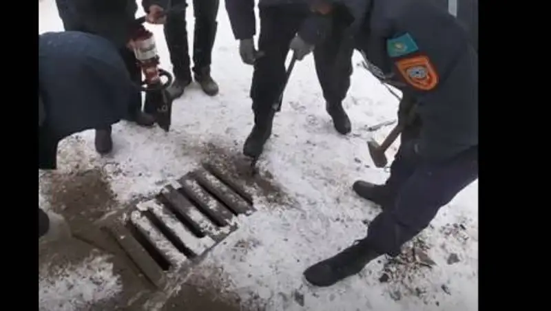 Кокшетауские спасатели вызволили щенков из водостока