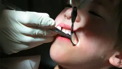 Zakon.kz, фото - Новости Zakon.kz от 19.09.2017 15:41