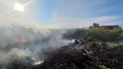 тушение пожара, фото - Новости Zakon.kz от 04.07.2023 21:43