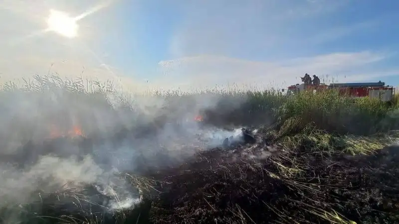 В Абайской области локализовали крупный пожар