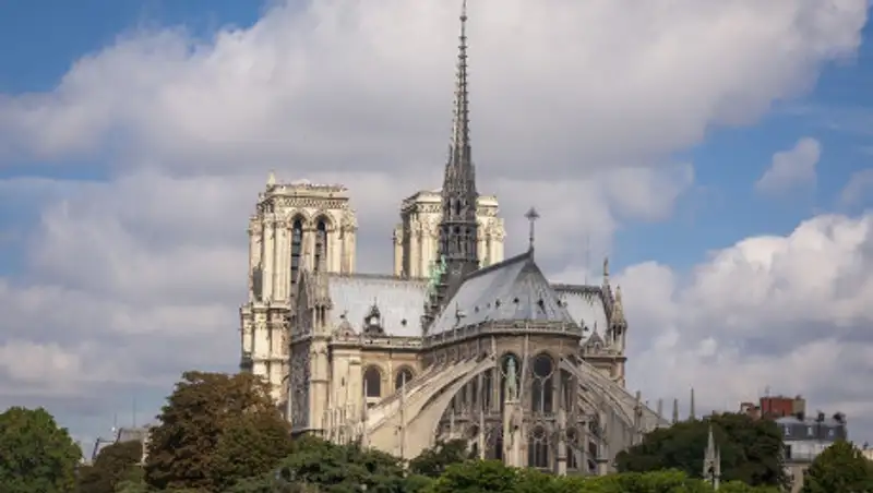 Разбить сад и огород предлагают на крыше Нотр-Дама