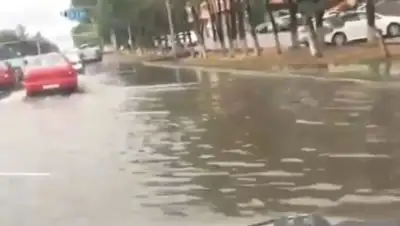 кадр видео, фото - Новости Zakon.kz от 15.08.2019 10:20