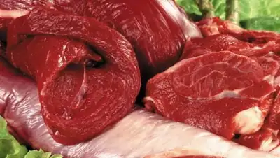 Zakon.kz, фото - Новости Zakon.kz от 17.02.2016 15:43