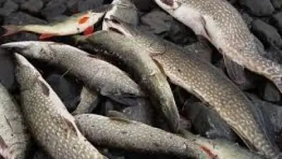 Zakon.kz, фото - Новости Zakon.kz от 16.05.2015 01:15