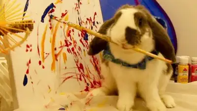 Zakon.kz, фото - Новости Zakon.kz от 15.07.2017 22:32