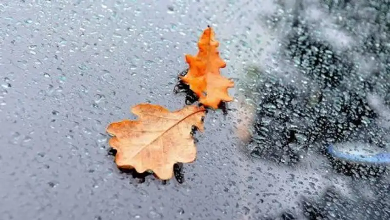 На большей части Казахстана 27 ноября ожидаются осадки и туман