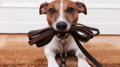 Zakon.kz, фото - Новости Zakon.kz от 08.09.2017 14:59