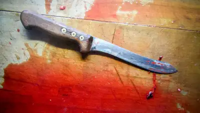 Needpix.com, фото - Новости Zakon.kz от 17.06.2019 15:44