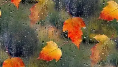 Zakon.kz, фото - Новости Zakon.kz от 23.10.2017 06:00