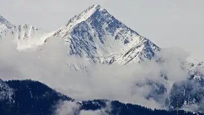 Zakon.kz, фото - Новости Zakon.kz от 22.03.2017 16:24