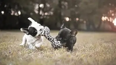 Zakon.kz, фото - Новости Zakon.kz от 23.01.2018 11:38