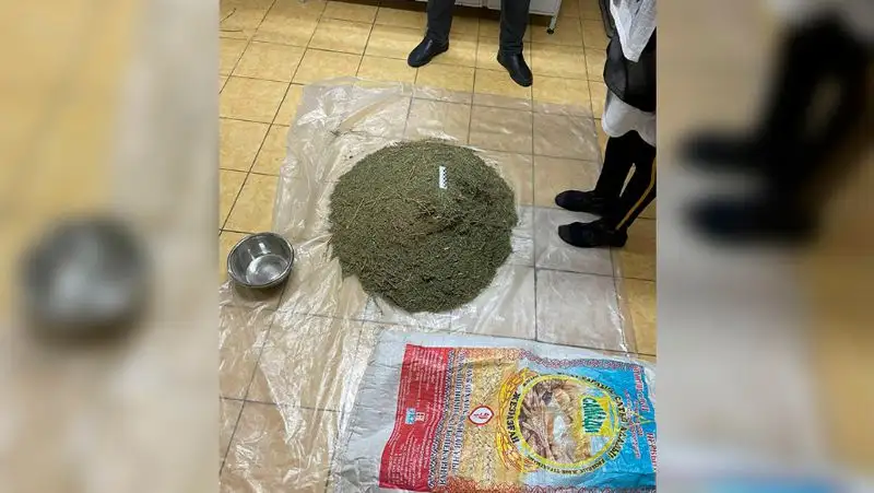 Крупную партию наркотиков изъяли полицейские Петропавловска